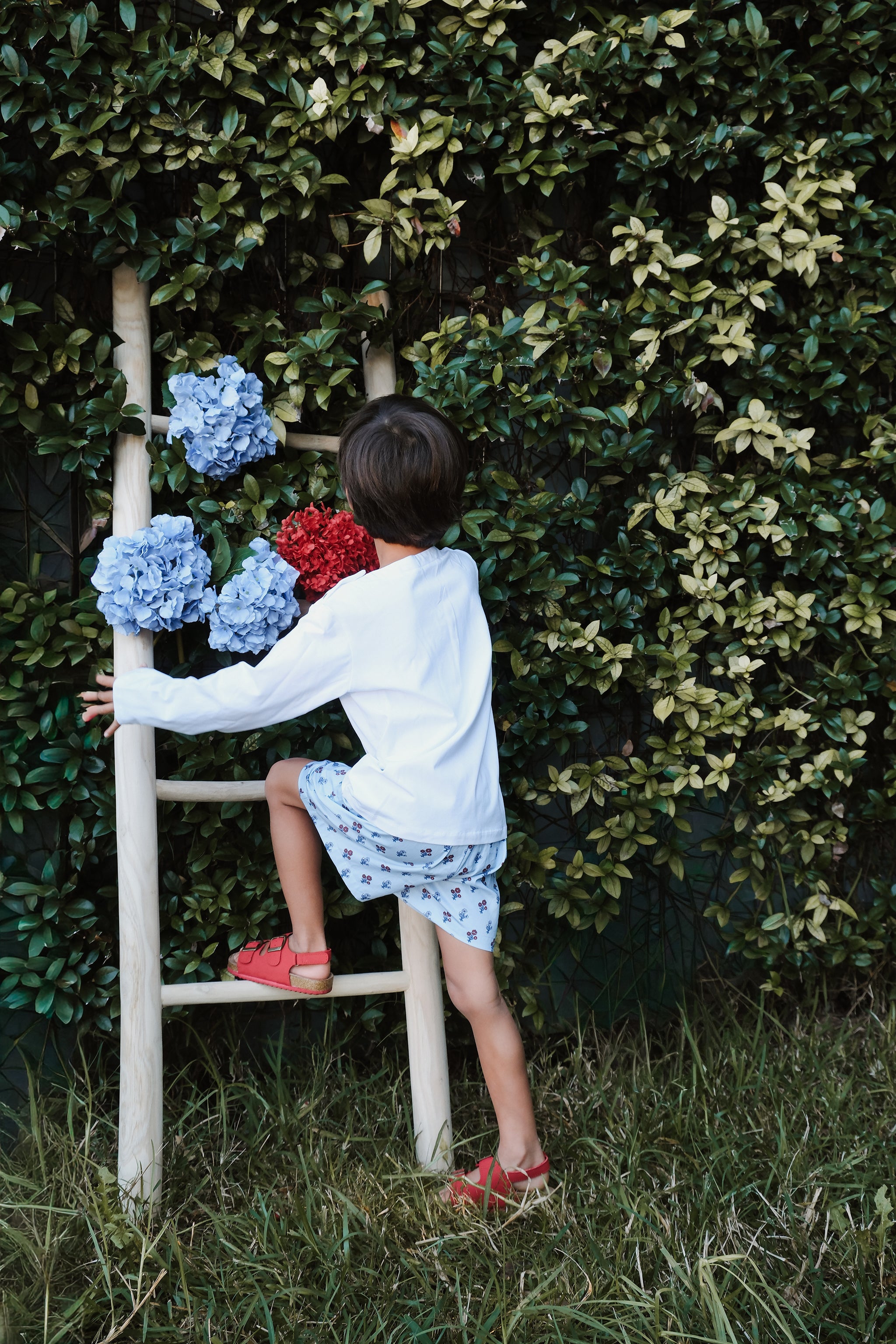 LITTLE BLUE TWO TONED SHORT