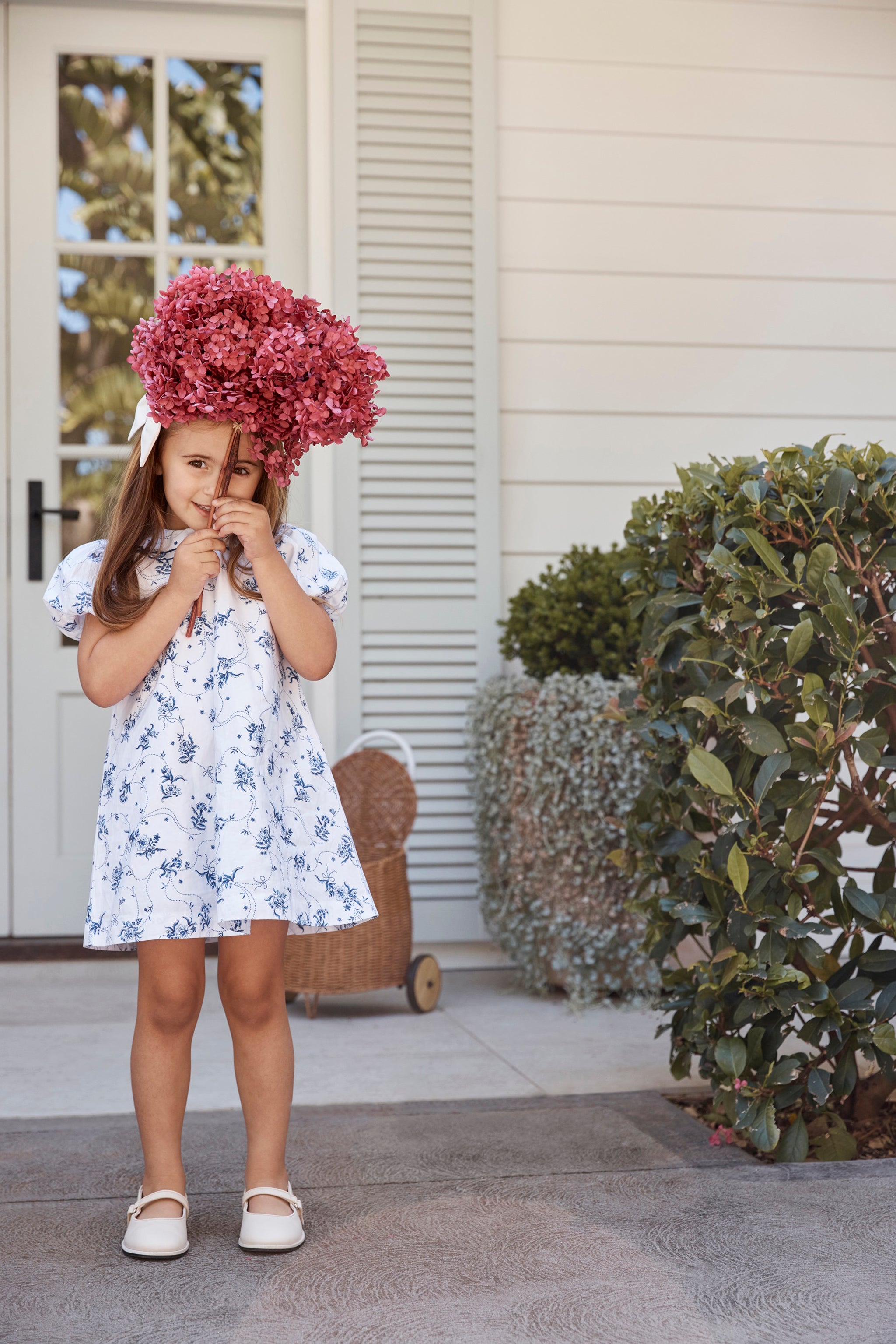 Little Puff Sleeve Dress